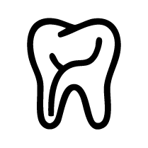 Premolar Root Canals
